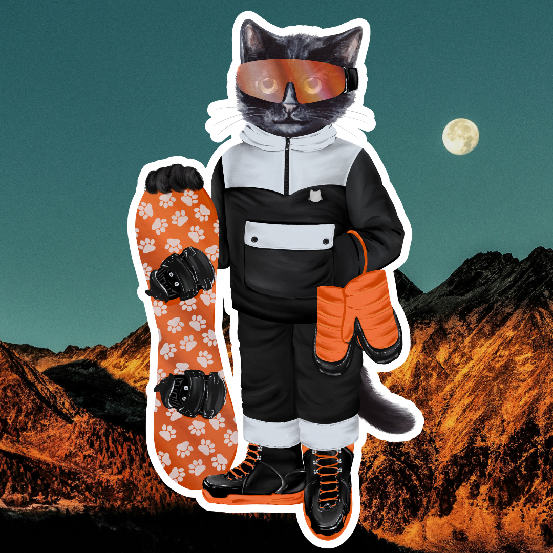 Snowboard Cat